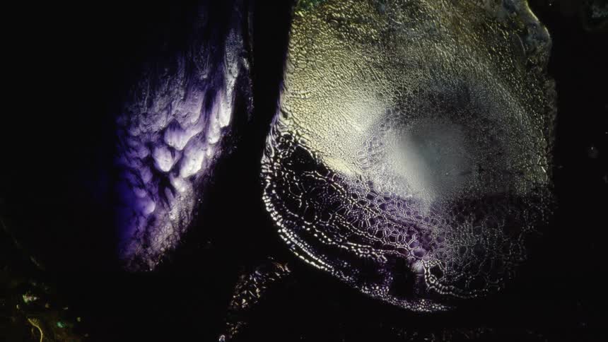 The white and purple colors move around