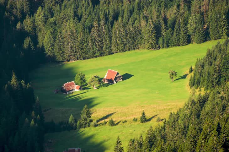 Houses on a green hill out in nature at day time surrounded by pine trees
