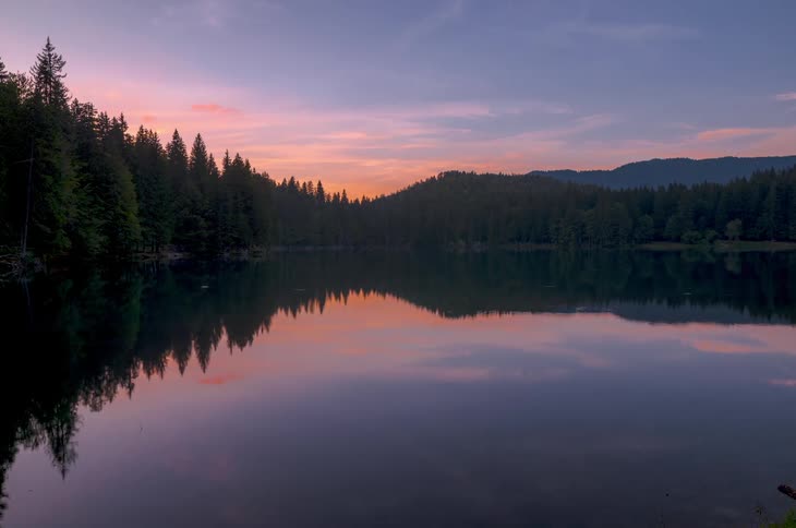 Landscape view of a forest on the shore reflecting in the water