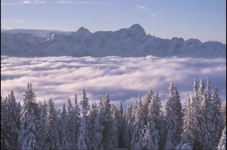 A heavily forested area near mountains with a lot of rolling fog