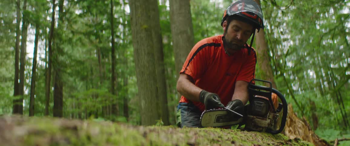 A lumberjack sharpens the knife of a chainsaw lying atop a fallen tree with a file in a woodland during the day