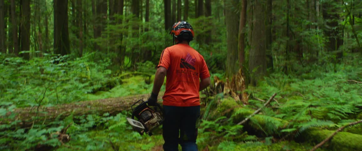 A man walks through a forest holding a chainsaw and sets it on a fallen log