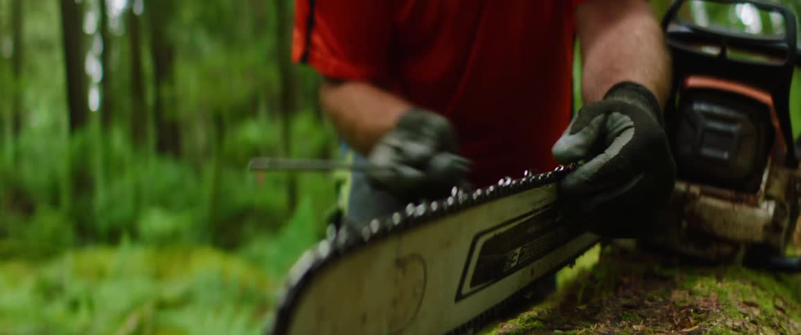 A man sharpens the blades of a chainsaw in a forest on top of a log