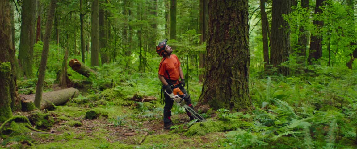 A man stands in a heavily wooded area holding a chainsaw and looking up to a large tree