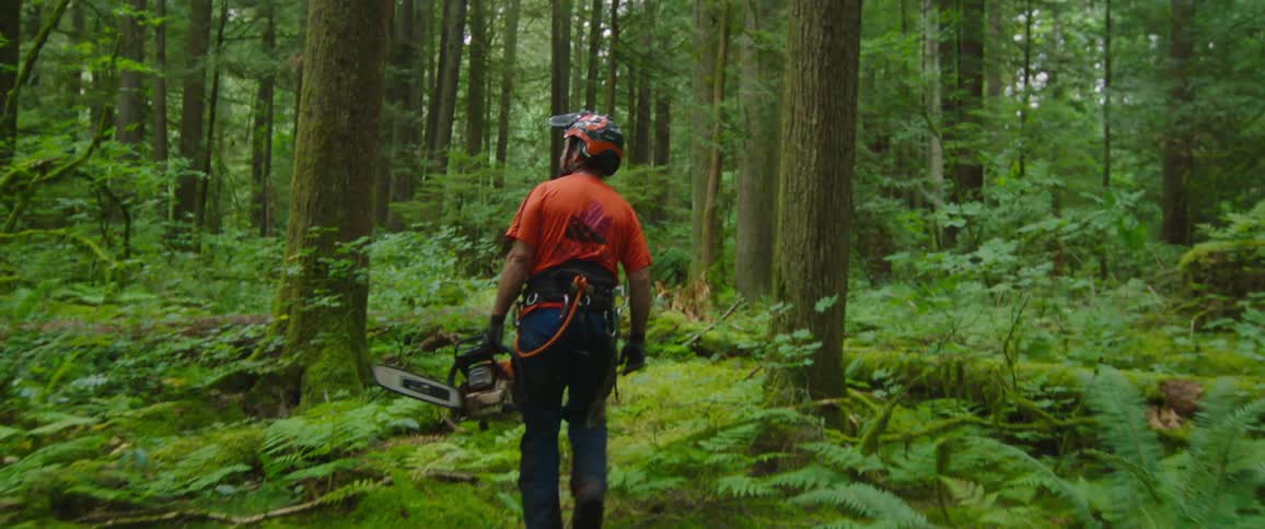 A man carries a chainsaw through a forest while wearing a helmet