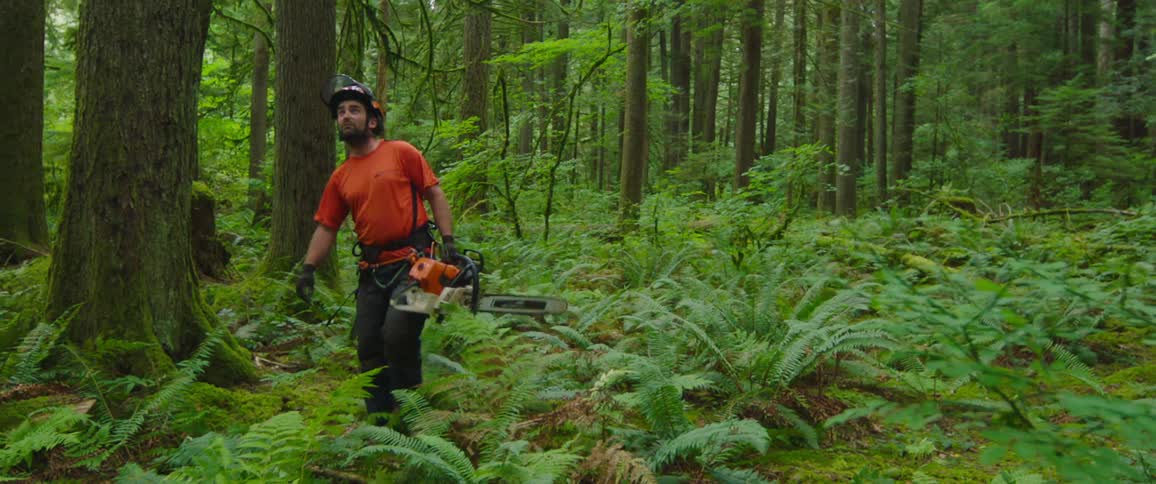 A man holding a chain saw looks at the trees in a forest