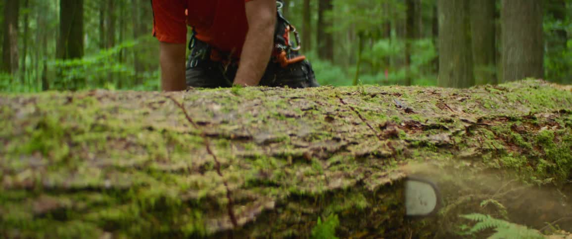 A man cutting a tree trunk with a saw