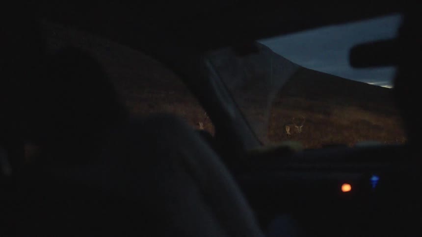 Two people sitting in parked car look out toward slope