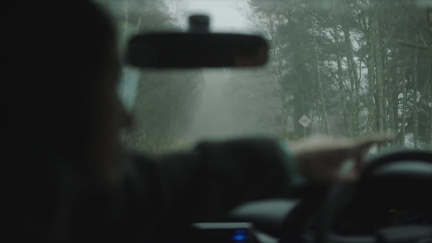 A passenger in a moving car points to the exterior trees
