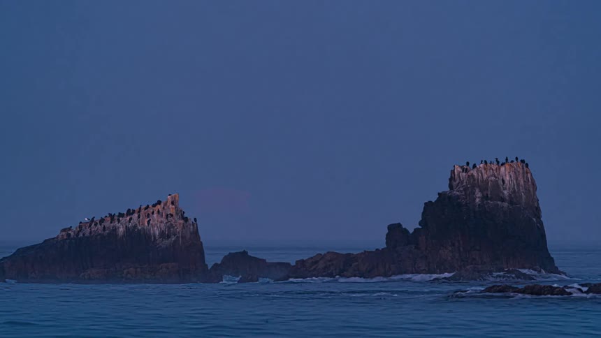 Flocks of birds stand on islets as moon sets