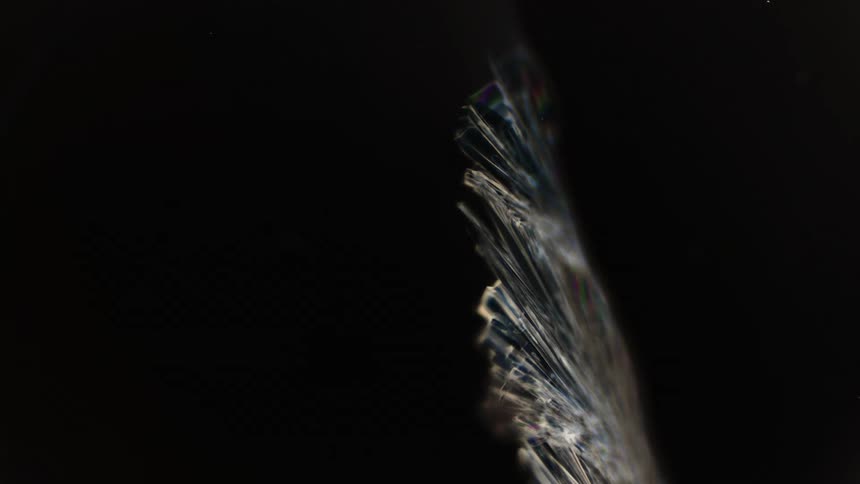 Translucent crystal grows against black background