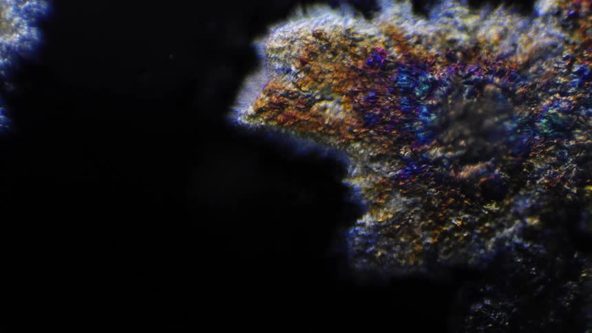 A chemical reaction under a microscope shows colourful crystals growing