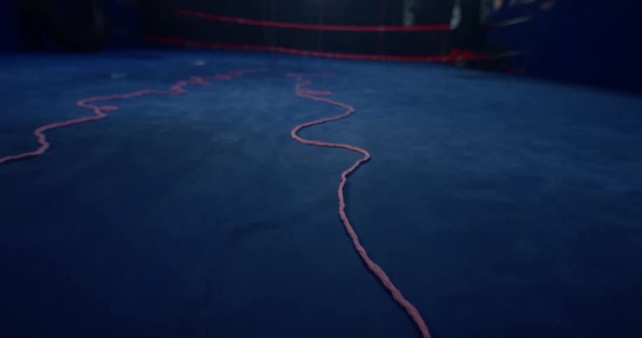 A long rope is laying on a black painted floor