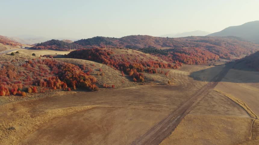 A landscape view of a field with trees
