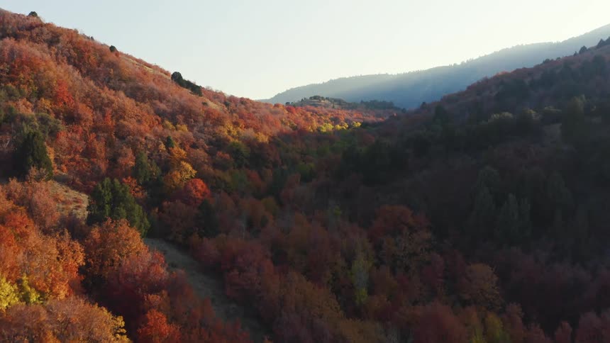 Landscape aerial view of hills and trees with leaves turning colors during the day