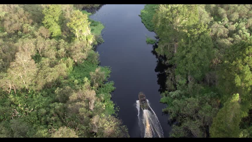A boat traveling down a river surrounded by many trees