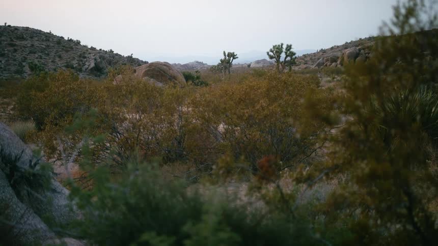 Landscape of desert and hills