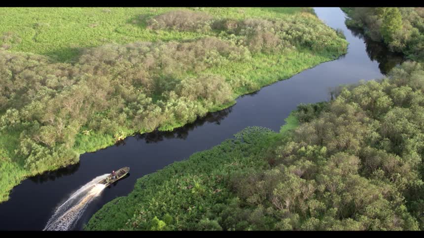 A motor boat leaves a wake as it travels the curving marsh
