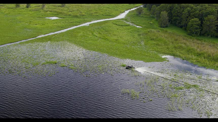 A boat moving in a swamp with water and plants with trees in the background