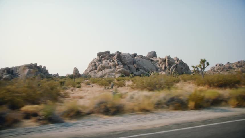 Desert with plants and rock formations at daytime on the side of a highway road
