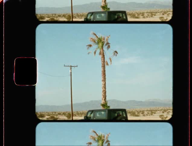 Palm tree against blue sky with a jeep with a film frame