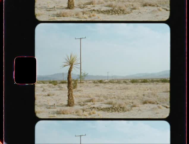 Small desert plant with a green bloom out in the desert at daytime next to an interstate road