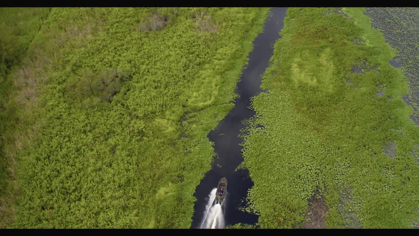 A boat moves through water in a marshland during the day