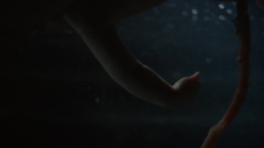 Unborn baby with the umbilical cord in the womb