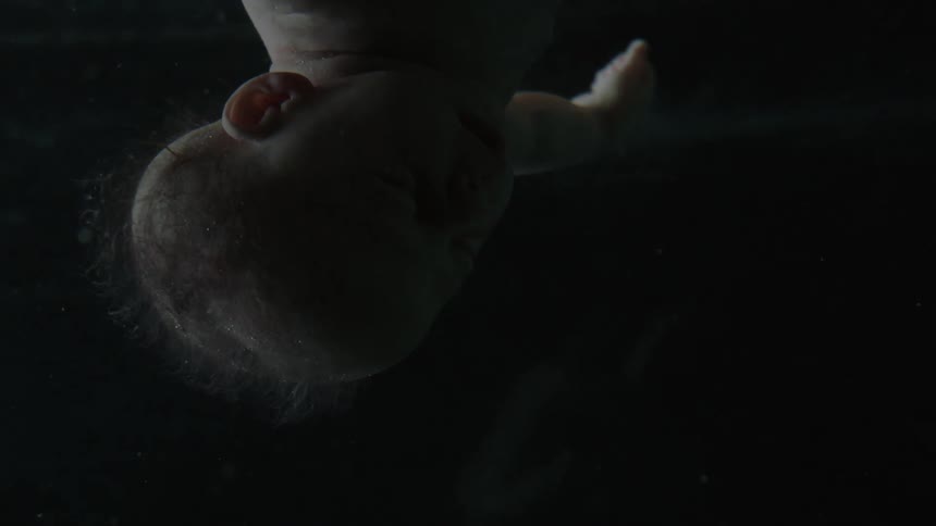 A fetus floats upside down within a dimly lit uterus full of amniotic fluid