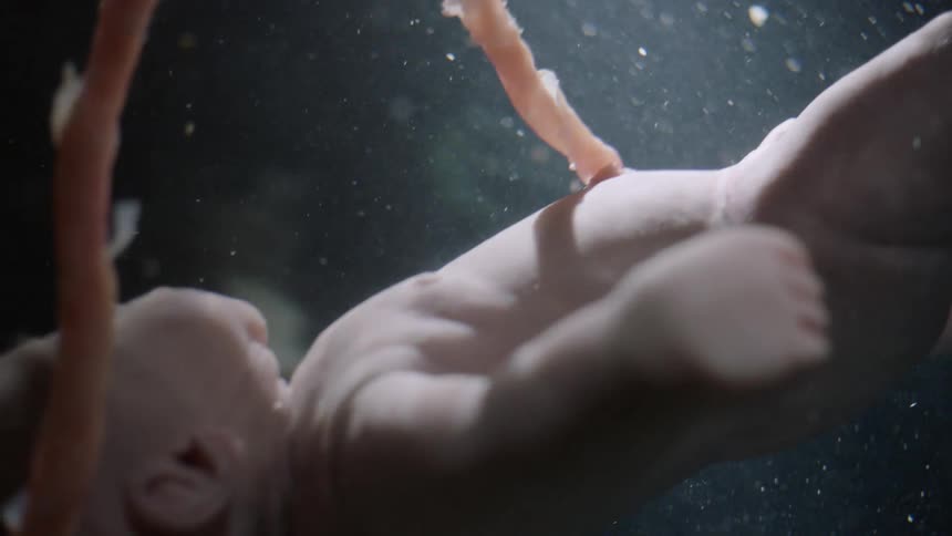 A baby floats in liquid with an umbilical cord with a light going on and off