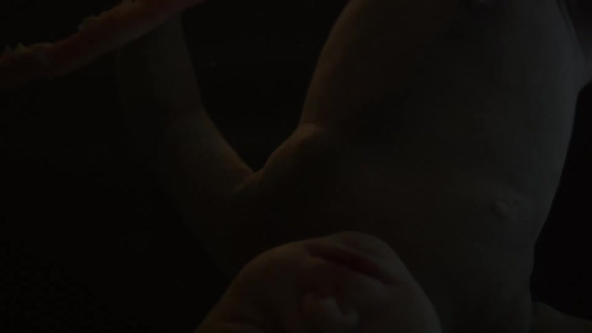 Unborn babys head and umbilical cord in the water