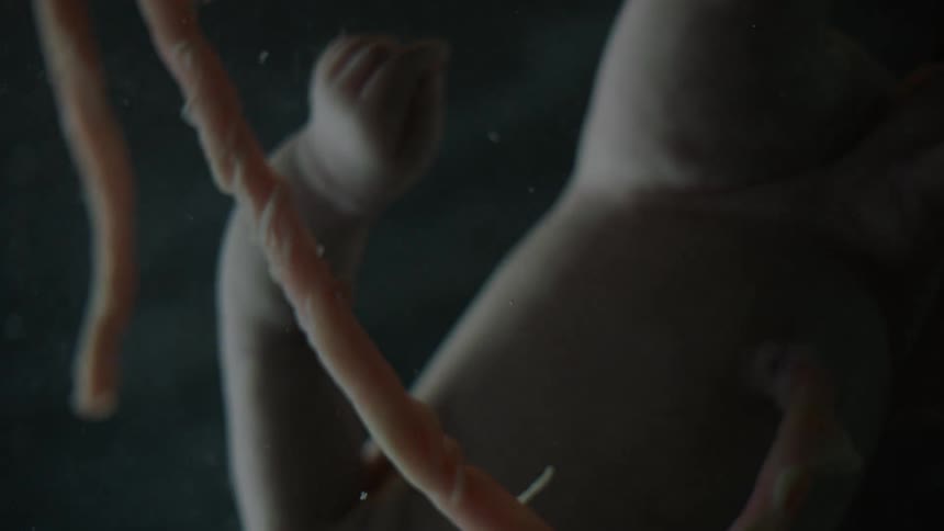 A baby floats in liquid with bright light turning to darkness