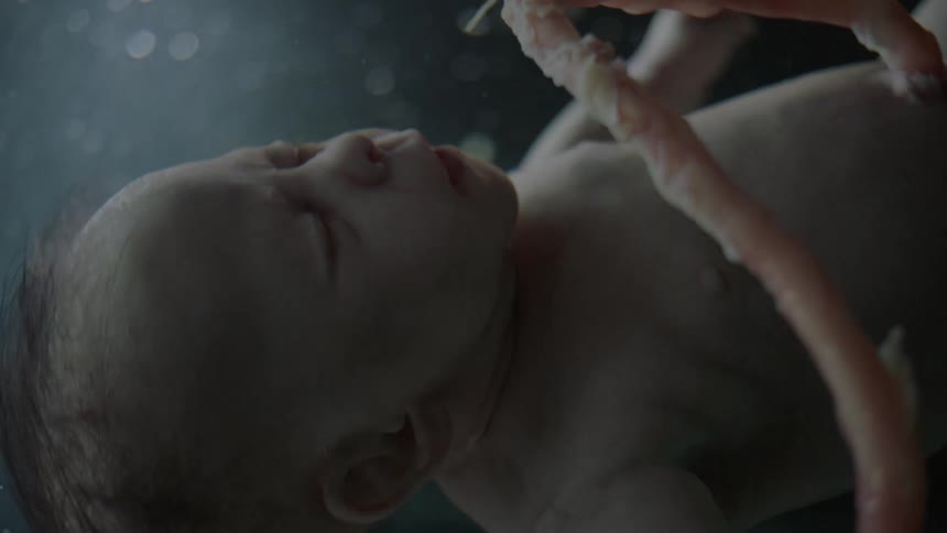 Unborn babys umbilical cord in amniotic fluid in the womb