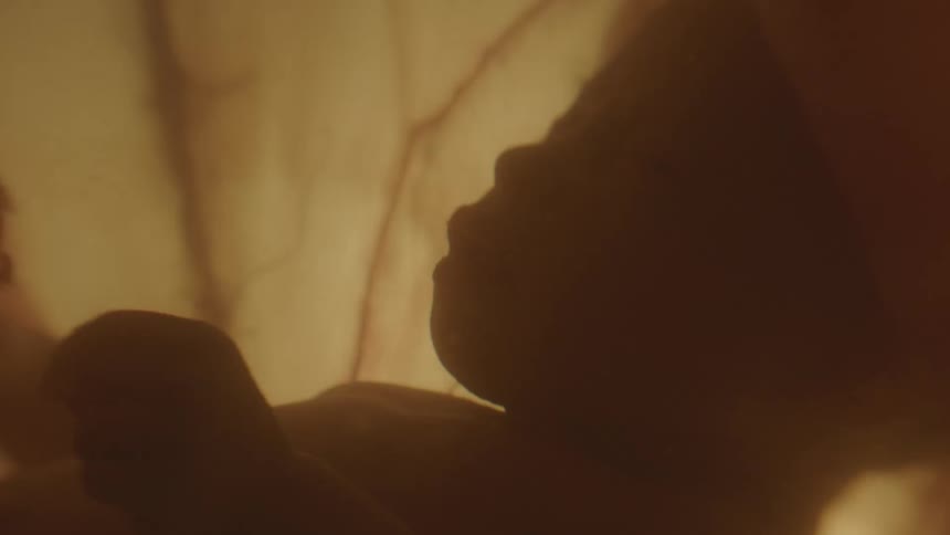A baby floating in amniotic fluid inside of a uterus is vigorously bounced around