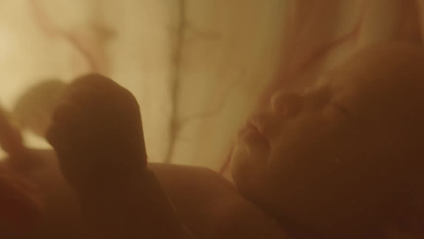 A fetus in utero