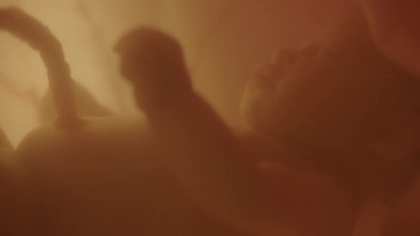 A fetus is shown in a womb