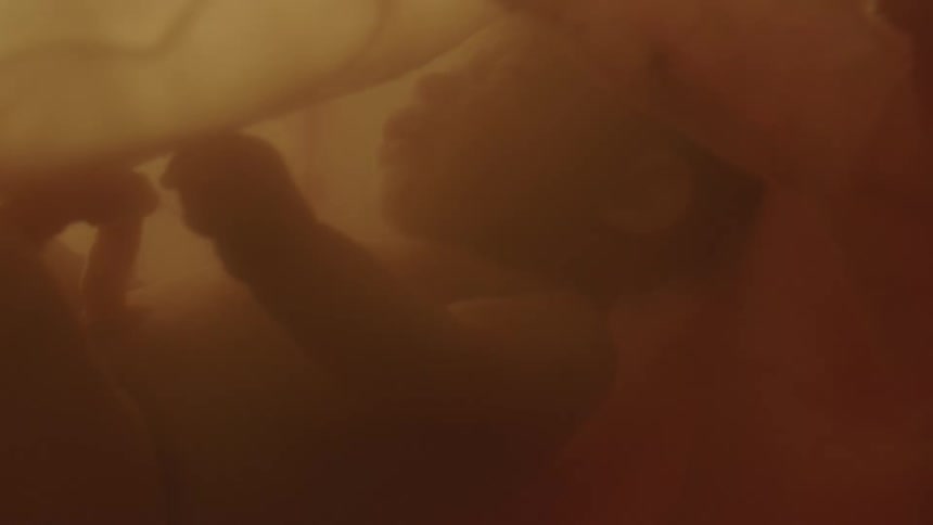 An unborn baby floats in fluid in the womb