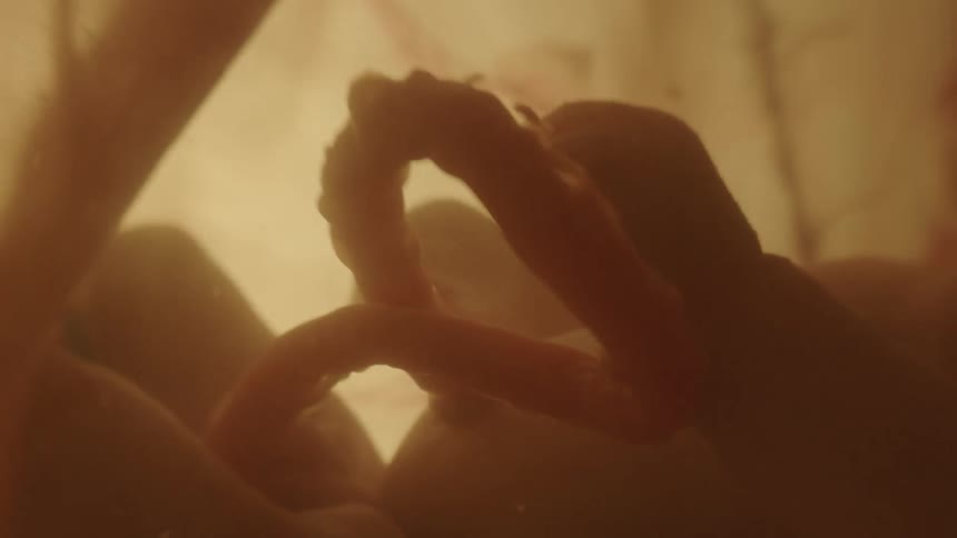 Unborn baby with the umbilical cord connecting the baby to its mother in mothers womb