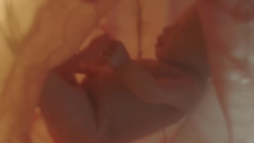 A fetus floats inside its mothers stomach