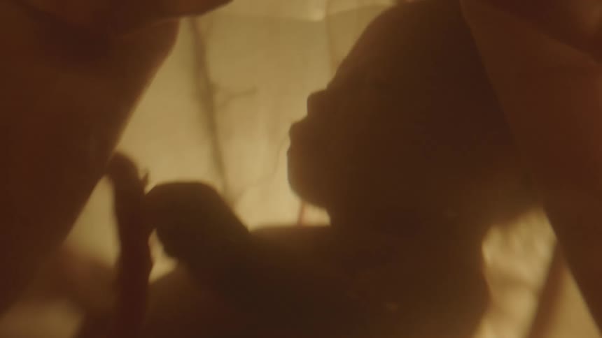 The silhouette of a fetus floating with a light shining from the outside