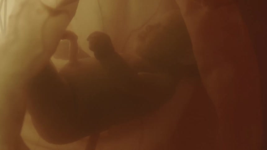 A fetus floating in utero