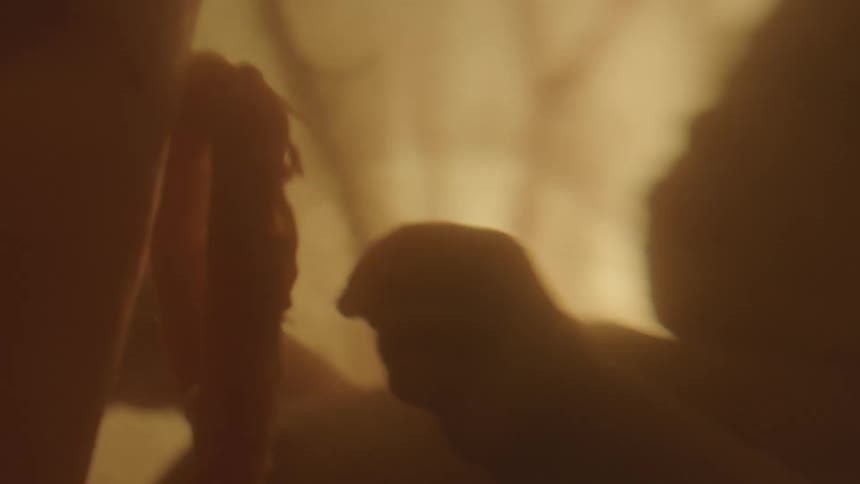 A baby floats inside liquid with soft light in the background as it moves