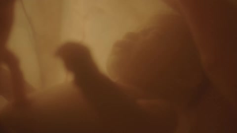 A baby is shown in a womb of a mother