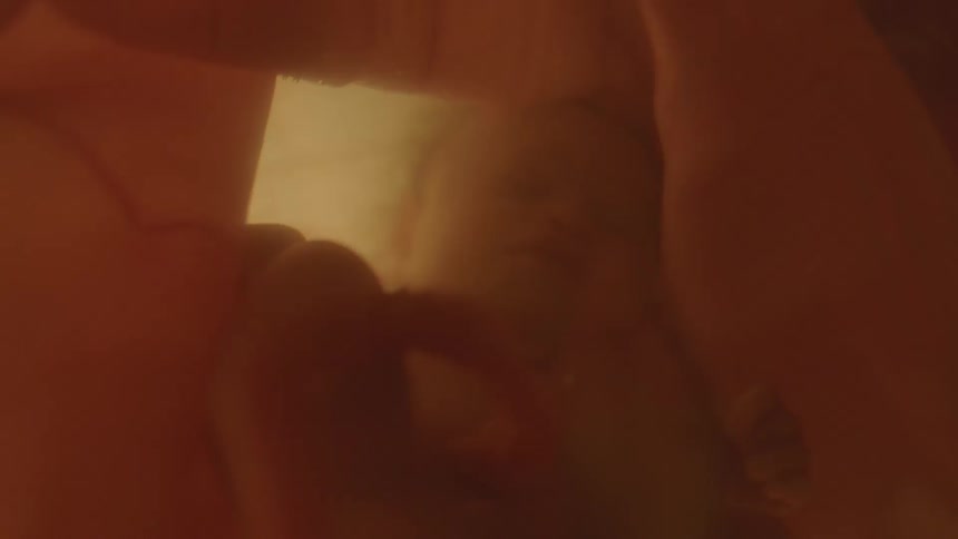 Unborn baby with umbilical cord in mothers womb