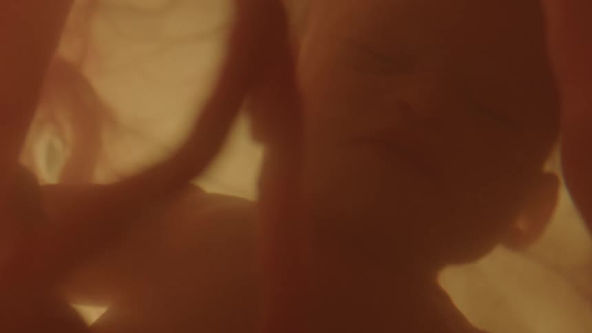 An unborn baby floats in fluid in the womb