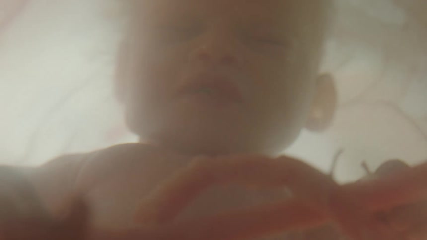 Close up of unborn baby in the womb