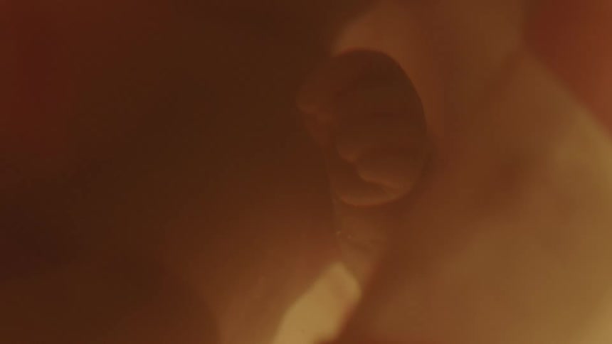 Unborn babys hand in mothers womb