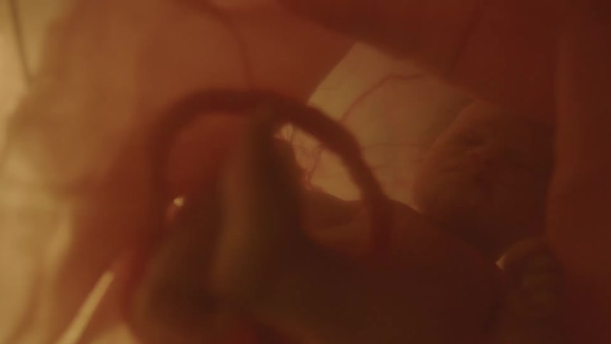 A fetus floating in utero