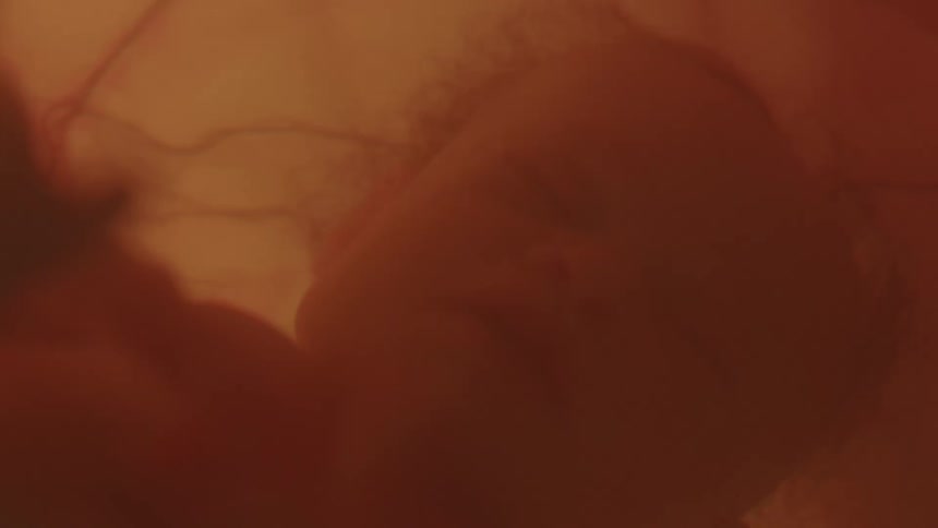 An unborn baby floats in fluid while a light shines from outside the membrane