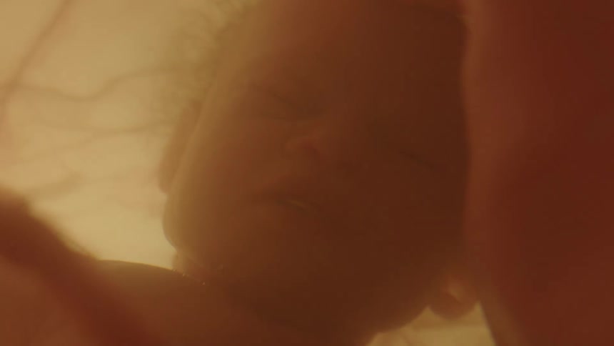 Unborn baby in mothers womb